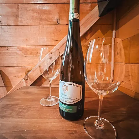 Kolibe Ravno Brdo בית נופש *